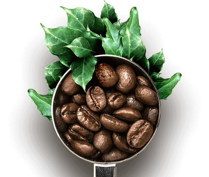 Cherry Stone Coffee. 
Culture. Coffee. Community.